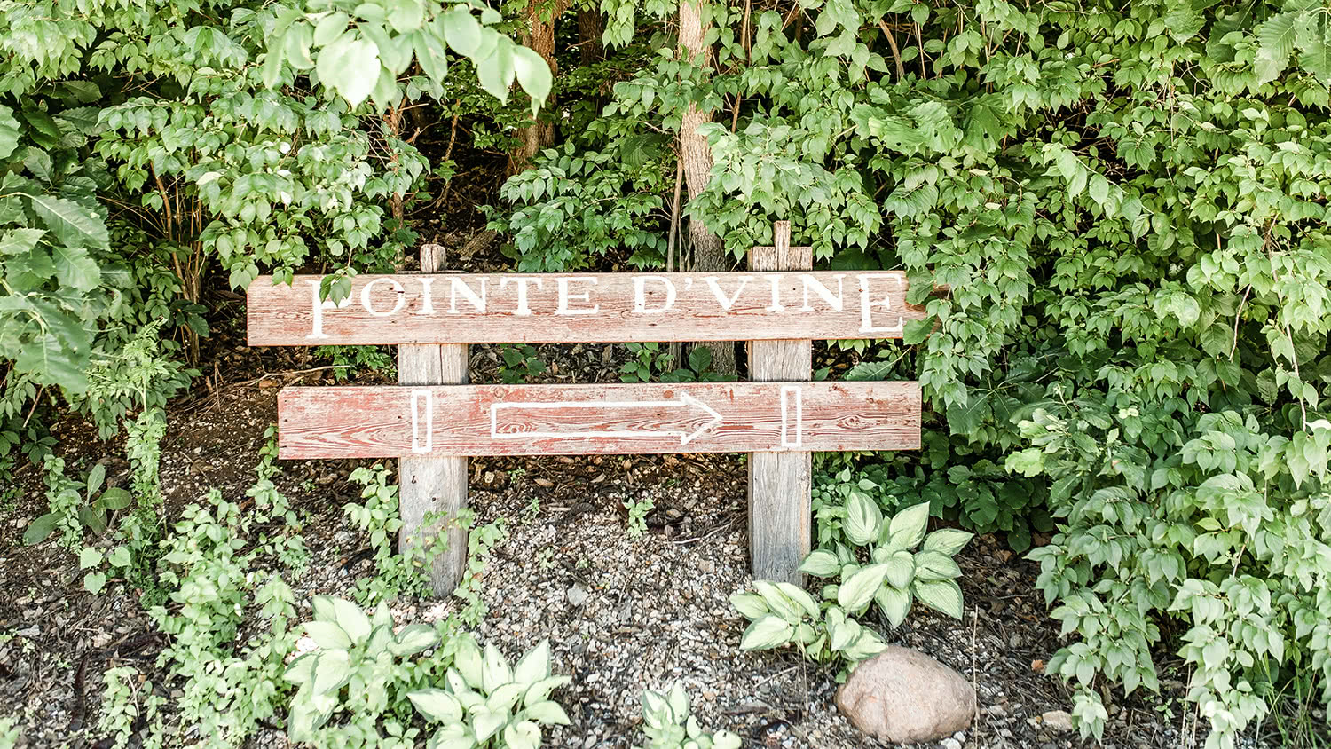 Private Events Pointe D'Vine Vineyard & Venue Quincy IL